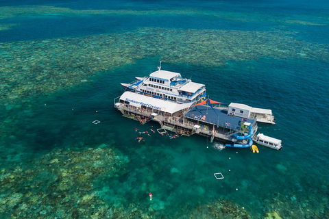Cruise To Moore Reef Pontoon And Return Helicopter Flight From Cairns - Accommodation Daintree 2