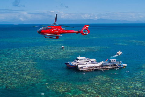 Cruise To Moore Reef Pontoon And Return Helicopter Flight From Cairns - Accommodation Daintree 4