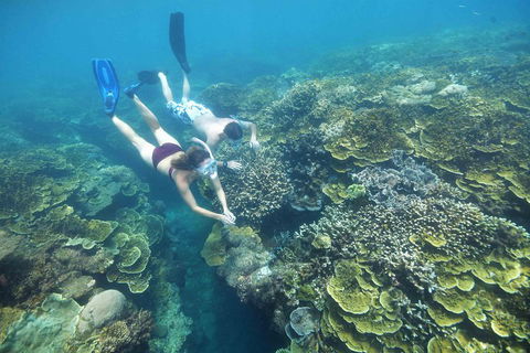 Scenic Helicopter Flight To Moore Reef And Return Snorkeling Cruise From Cairns - Accommodation Daintree 1