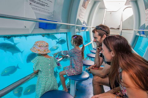 Scenic Helicopter Flight To Moore Reef And Return Snorkeling Cruise From Cairns - Accommodation Daintree 3