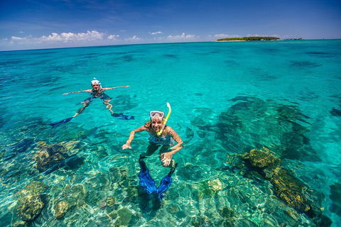 Fly To Green Island - Cruise Return - Accommodation Daintree 4