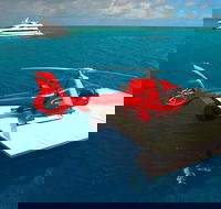 Cruise out and Cruise return plus 10 minute Scenic Flight - Accommodation Daintree