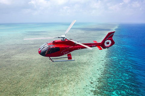 Cruise Out And Cruise Return, Plus 10 Minute Scenic Flight - Accommodation Daintree 1