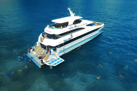 Cruise Out And Cruise Return, Plus 10 Minute Scenic Flight - Accommodation Daintree 2