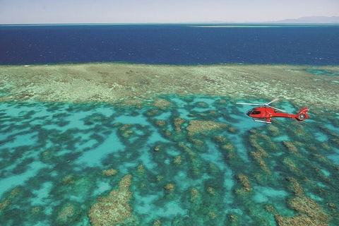 Ultimate Great Barrier Reef And Rainforest 45-minute Helicopter Tour - Accommodation Daintree 1