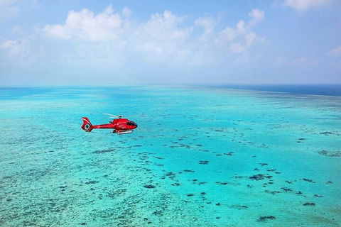 Ultimate Great Barrier Reef And Rainforest 45-minute Helicopter Tour - Accommodation Daintree 2