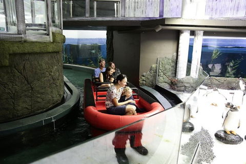Sydney Attractions Pass: SEA LIFE Aquarium, Sydney Tower Eye, WILD LIFE Zoo And Madame Tussauds - Accommodation Daintree 0