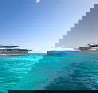 Fremantle to Rottnest Island Roundtrip Ferry Ticket - Accommodation Daintree