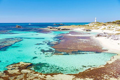 Rottnest Island Bike, Snorkel & Ferry Package From Fremantle - Accommodation Daintree 4