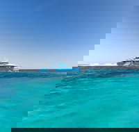 Rottnest Island Fortress Adventure Segway Package from Fremantle - Accommodation Daintree
