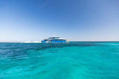 Rottnest Island Fortress Adventure Segway Package From Fremantle - Accommodation Daintree 0