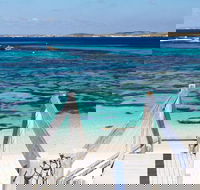 Perth to Rottnest Island Roundtrip Ferry Ticket - Accommodation Daintree