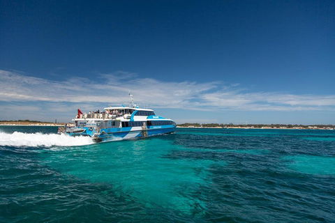 Perth To Rottnest Island Roundtrip Ferry Ticket - Accommodation Daintree 4