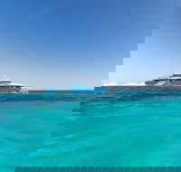 Rottnest Island Bayseeker Day Trip from Perth - Accommodation Daintree