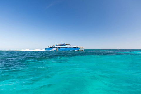 Rottnest Island Bayseeker Day Trip From Perth - Accommodation Daintree 0