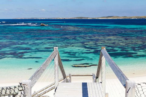 Rottnest Island Bayseeker Day Trip From Perth - Accommodation Daintree 3