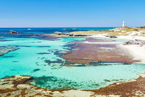 Rottnest Island Bayseeker Day Trip From Perth - Accommodation Daintree 4
