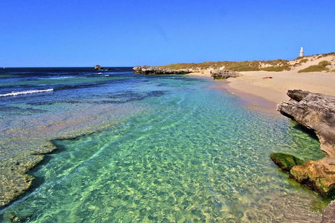 Rottnest Island Bayseeker Day Trip From Perth - Accommodation Daintree 5