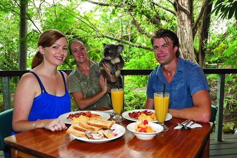 Breakfast With The Koalas At Hartley's Crocodile Park From Cairns Or Palm Cove - Accommodation Daintree 0