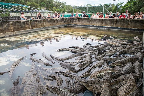 Hartley's Crocodile Adventures Day Trip From Cairns - Accommodation Daintree 0