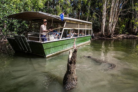 Hartley's Crocodile Adventures Day Trip From Cairns - Accommodation Daintree 2