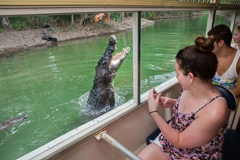Hartley's Crocodile Adventures Day Trip From Cairns - Accommodation Daintree 3