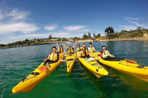 Mornington Peninsula Kayak Coastline Tour Of Dolphin Sanctuary - Accommodation Daintree 2