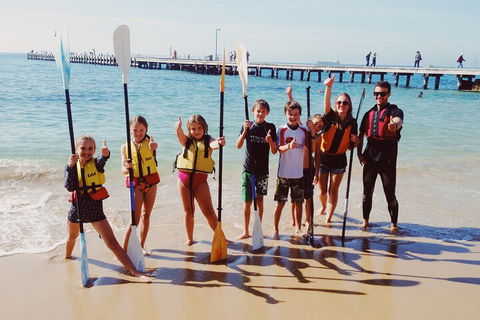 Mornington Peninsula Kayak Coastline Tour Of Dolphin Sanctuary - Accommodation Daintree 3