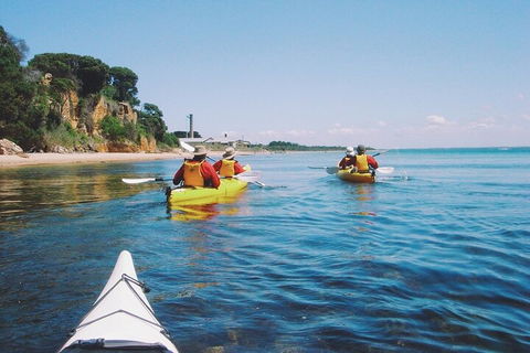 Mornington Peninsula Kayak Coastline Tour Of Dolphin Sanctuary - Accommodation Daintree 5