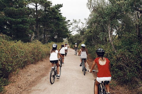 Self-Guided Point Nepean National Park Bike Hire - Accommodation Daintree 3