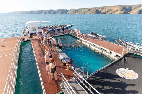 Horizontal Falls Half-Day Tour From Broome - Accommodation Daintree 3
