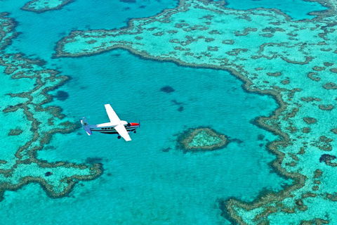 Reef And Island Scenic Flight From Airlie Beach - Accommodation Daintree 4