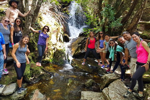 7-Day Super Value Tour Of Tasmania: Explore Tasmania's West And East Coasts - Accommodation Daintree 2