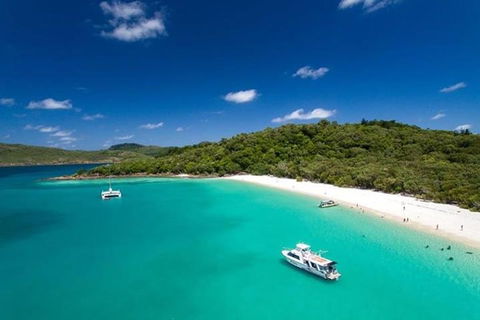 Whitehaven Beach And Hill Inlet | Awesome Beach BBQ | Family Friendly - Accommodation Daintree 3