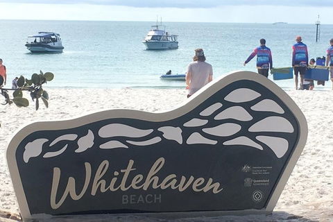 Whitehaven Beach And Hill Inlet | Awesome Beach BBQ | Family Friendly - Accommodation Daintree 5