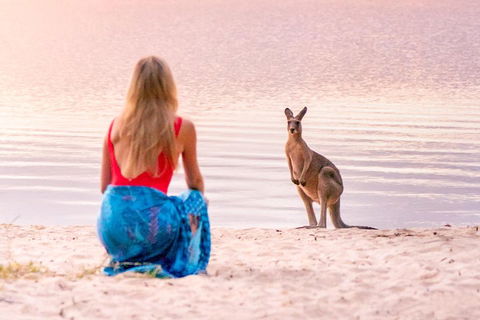 Serenity Cruise To Australia's Everglades - Accommodation Daintree 3