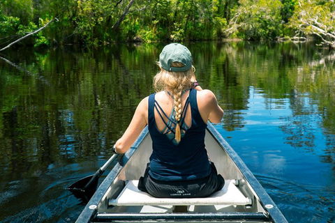 Cruise 'n' Canoe To Australia's Everglades - Accommodation Daintree 0