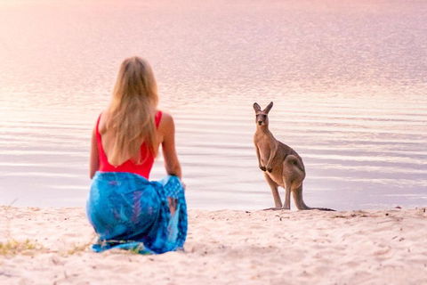 Cruise 'n' Canoe To Australia's Everglades - Accommodation Daintree 5