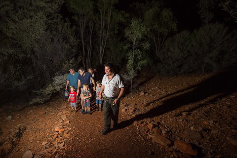 Alice Springs Desert Park Nocturnal Tour - Accommodation Daintree 0