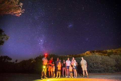 Alice Springs Desert Park Nocturnal Tour - Accommodation Daintree 2