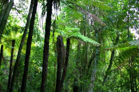 Private Tour: Blue Mountains Day Trip From Sydney - Accommodation Daintree 4