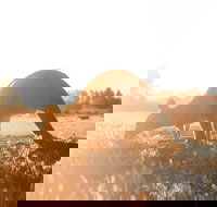 Small Group - 12 Apostles Otways  Great Ocean Road Day Tour from Melbourne - Accommodation Daintree