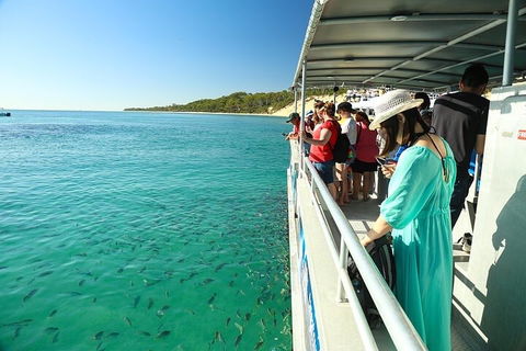 Adventure Moreton Island Wrecks Adventure Package - Accommodation Daintree 1