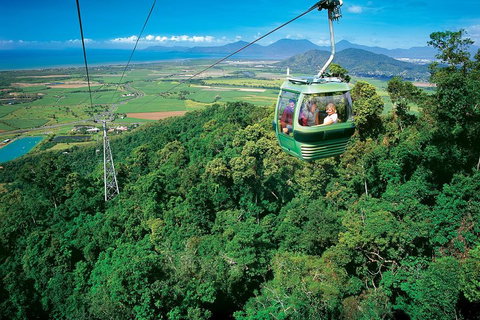 Cairns ATV Adventure Tour And Morning Skyrail - Accommodation Daintree 2