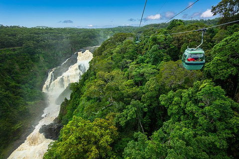 Cairns ATV Adventure Tour And Morning Skyrail - Accommodation Daintree 3