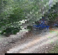Cairns ATV Adventure Tour and Morning Train - Accommodation Daintree