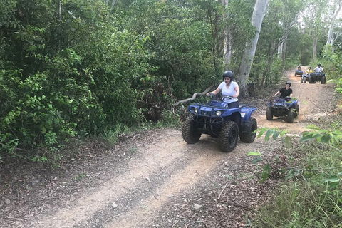 Cairns ATV Adventure Tour And Morning Train - Accommodation Daintree 0