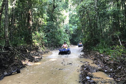 Cairns ATV Adventure Tour And Morning Train - Accommodation Daintree 1