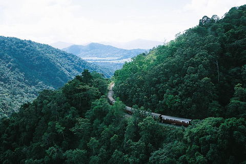 Cairns ATV Adventure Tour And Morning Train - Accommodation Daintree 3
