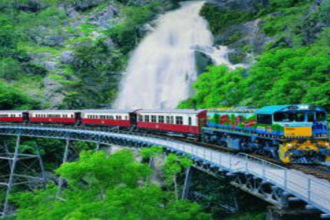 Cairns ATV Adventure Tour And Morning Train - Accommodation Daintree 4